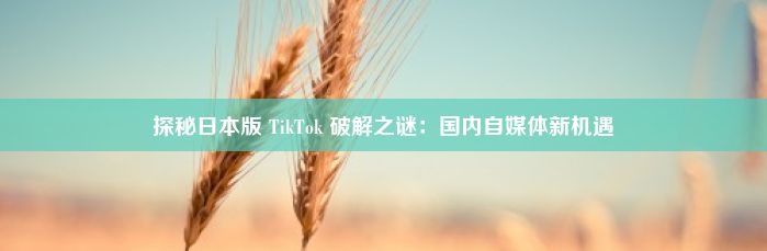 探秘日本版 TikTok 破解之谜：国内自媒体新机遇