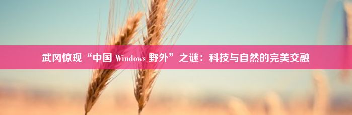 武冈惊现“中国 Windows 野外”之谜：科技与自然的完美交融